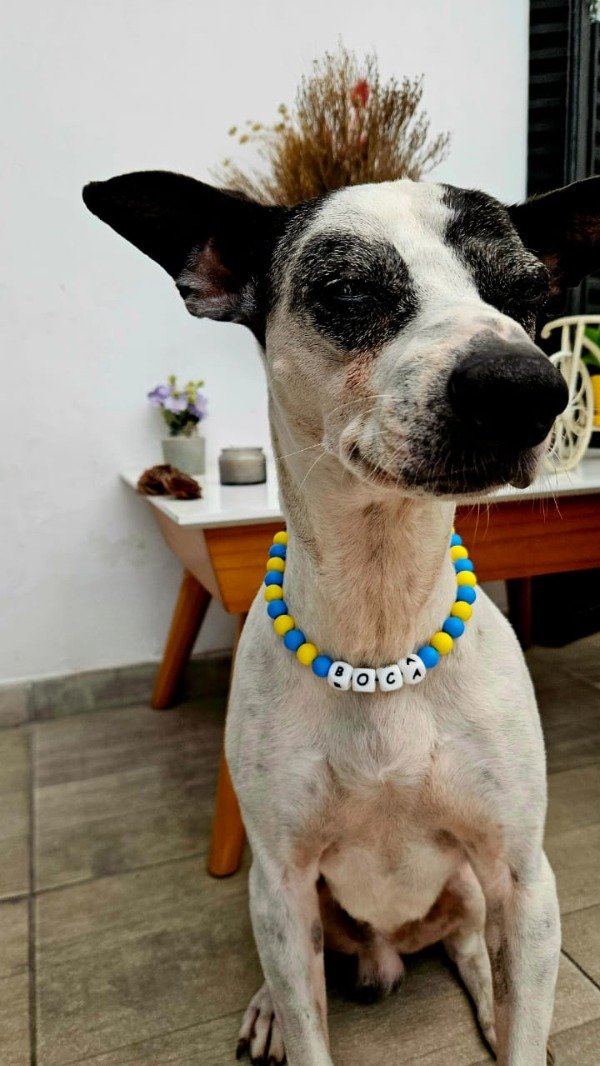 Miniatura de producto - 10