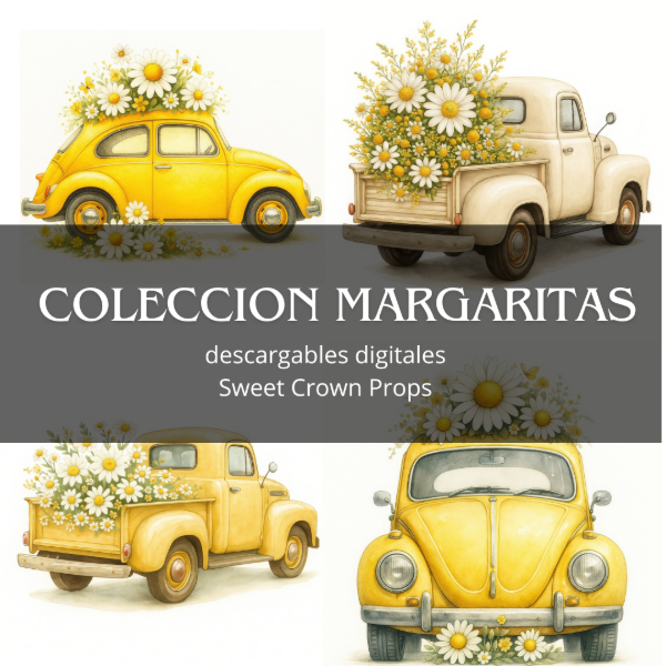 Producto - Imágenes digitales MARGARITA