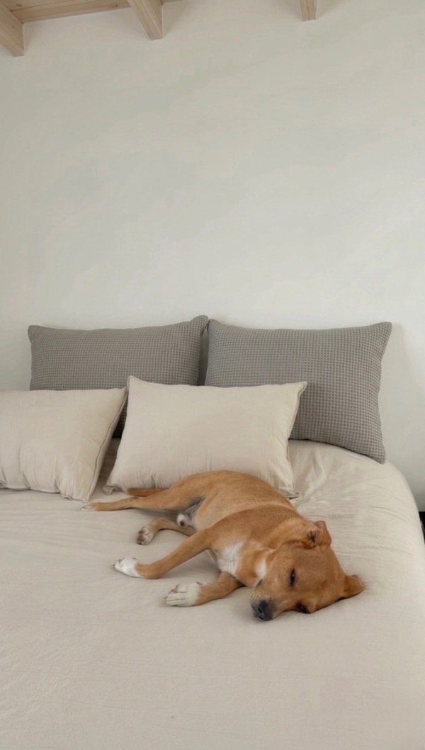 Producto - Almohadón de Waffle - Medida 80x60 (Respaldo cama Queen)