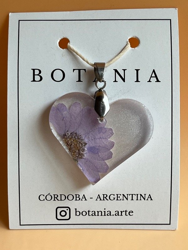 Producto - Margarita 8