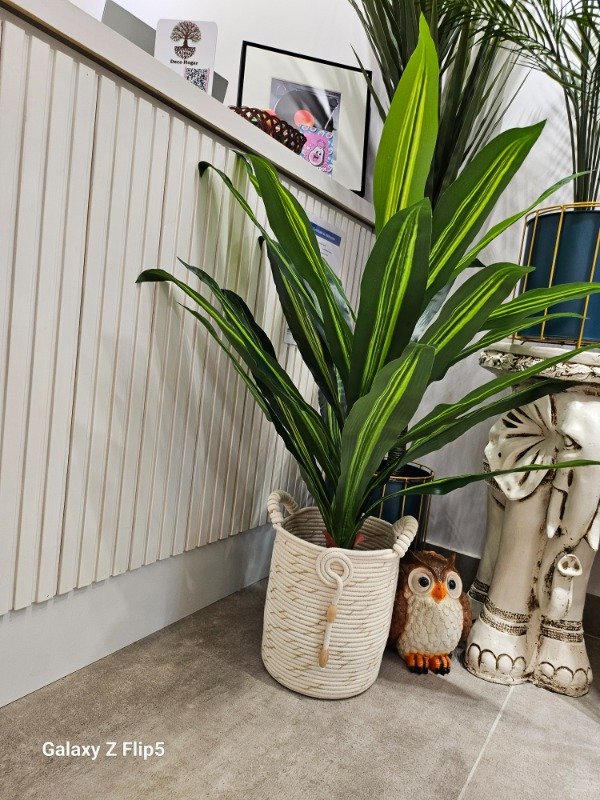 Producto - CANASTA CON ASAS TRENZADAS