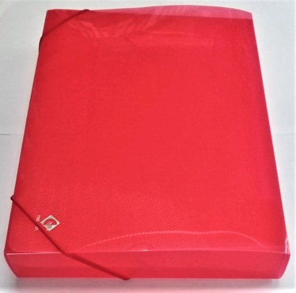 Producto - CARPETA CAJA PLÁSTICA