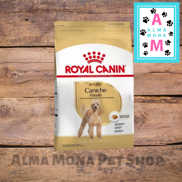 Producto - ROYAL CANIN CANICHE ADULTO 3 KG