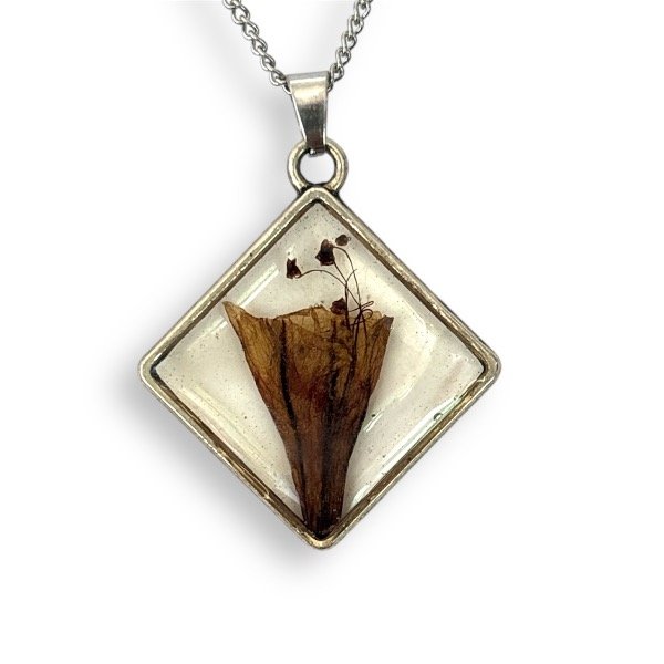 Producto - Dama de la noche