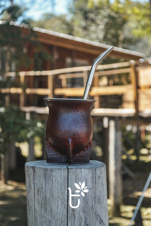 Producto - Camionero de Calabaza