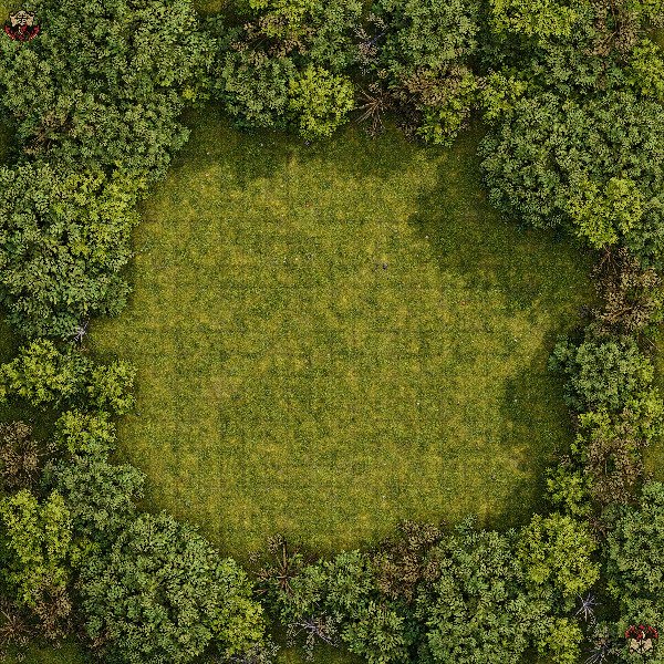 Producto - Bosque 7 XL