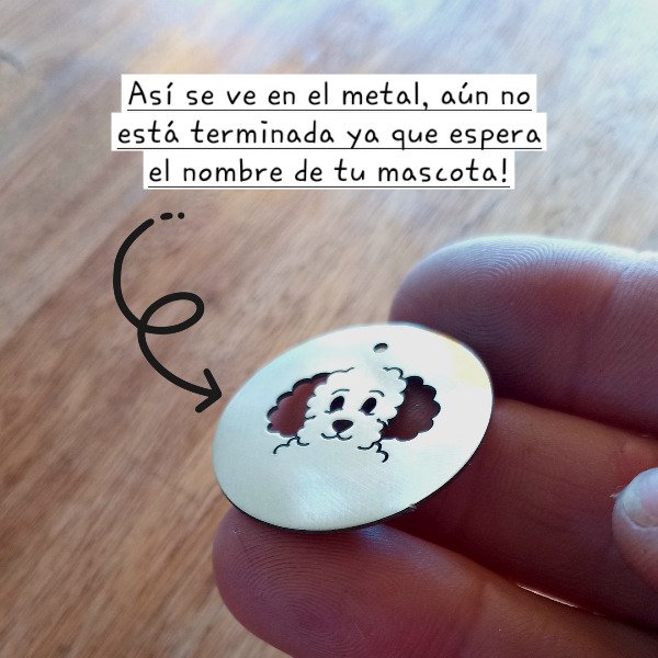 Producto - Chapita en PREVENTA rulos