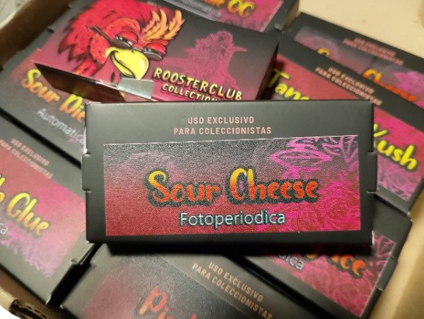 Producto - SEMILLAS FOTOPERIÓDICAS "SOUR CHEESE" x3 - ROOSTER CLUB