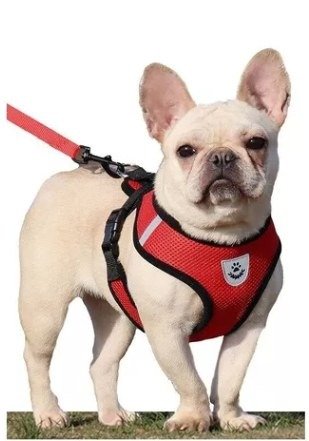 Producto - ARNES CON CORREA PARA PERRO O GATO TELA TRANSPIRABLE TALLE L
