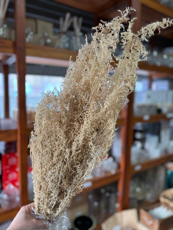 Producto - RAMO PAICO BLANQUEADO