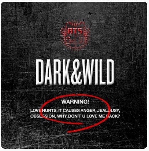 Producto - Bts Dark And Wild - 0