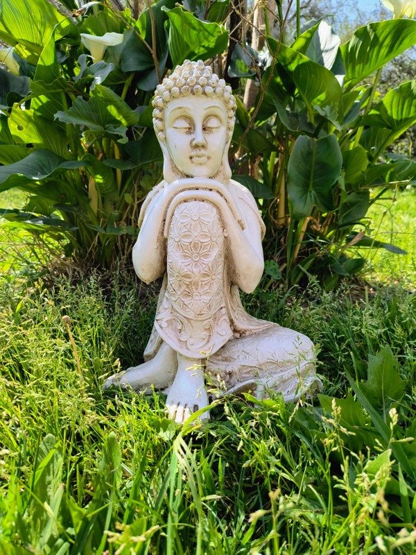 Producto - BUDA MANOS RODILLA