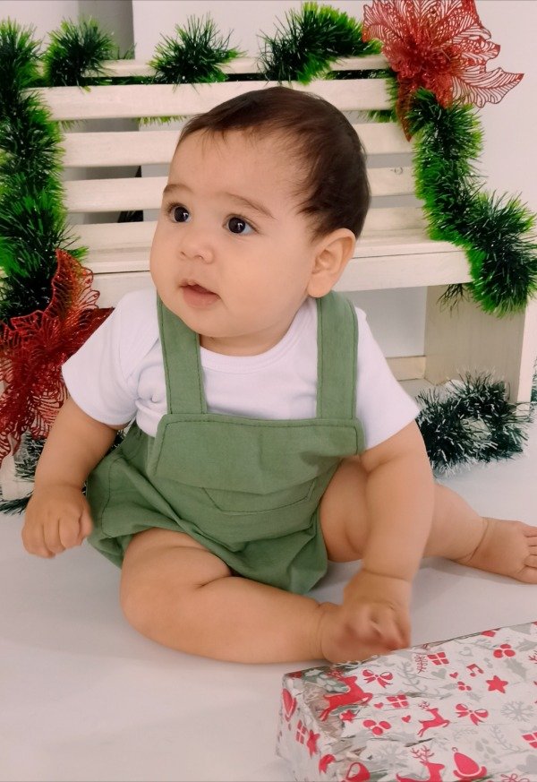 Producto - Erick navideño verde malva