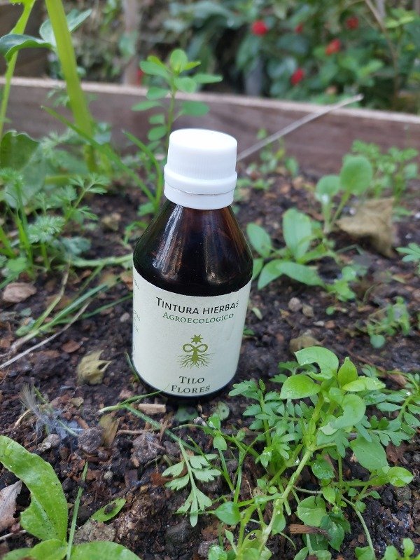 Producto - Tintura madre tilo flores