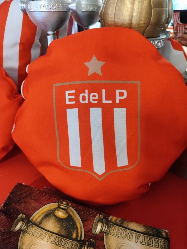 Producto - Almohadones redondos grandes - Estudiantes