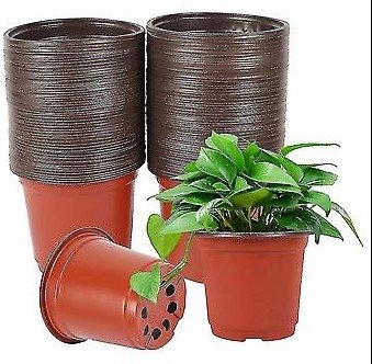 Producto - Maceta Termoformada