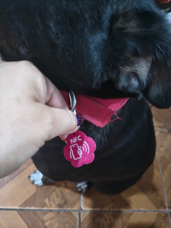 Producto - Huellita con Tecnologia NFC