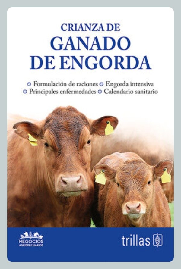 Producto - Crianza de Ganado de Engorda