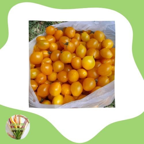 Producto - Cherry amarillo