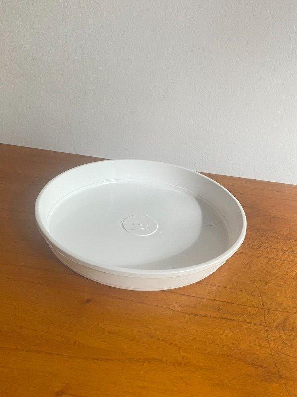 Producto - Plato n18