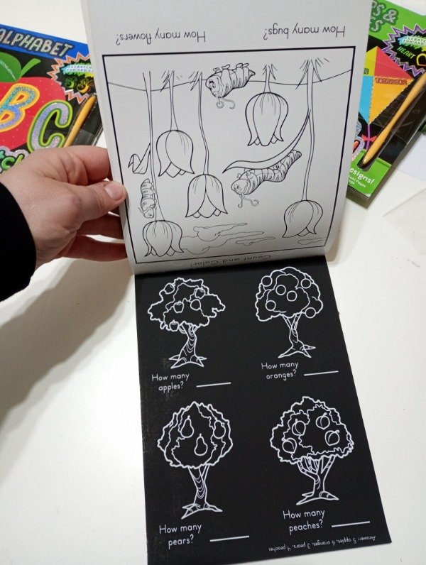 Producto - Libro de actividades con hojas para raspar. 12 hojas con actividades. ANIMALES - 1