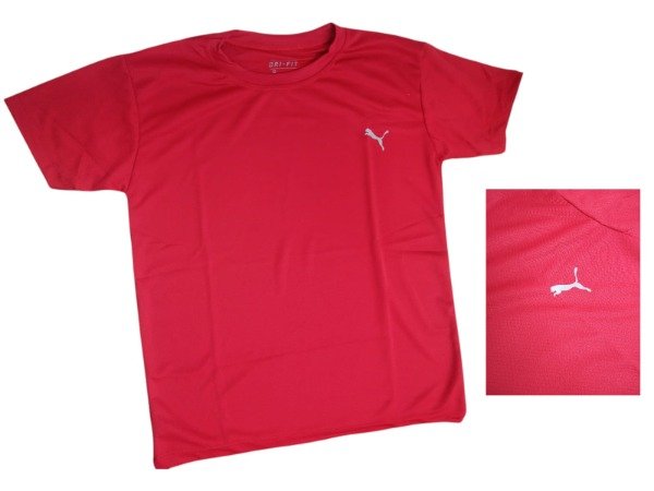 Producto - CAMISETA Dry Fit, PUMA (por Curva) - 1