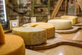 Producto - Queso Orgánico  "Humus de la montaña - El Bolsón"