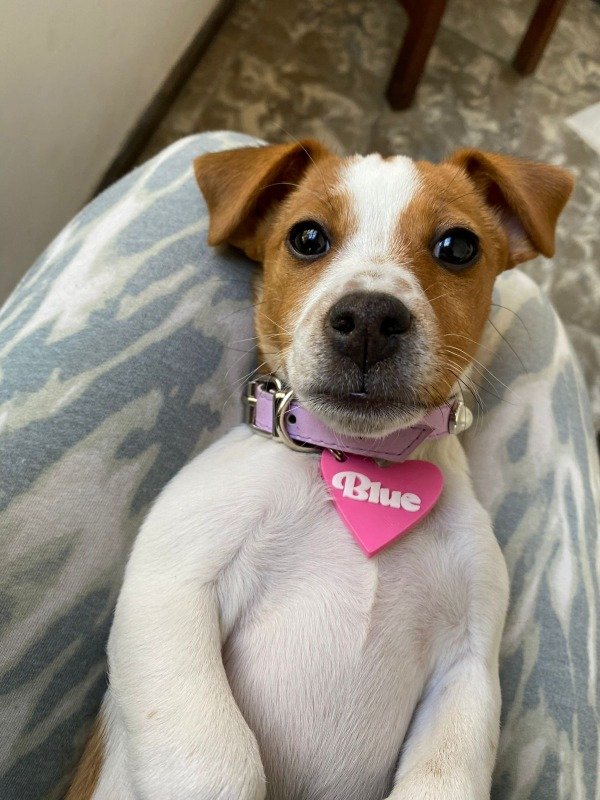 Miniatura de producto - 4