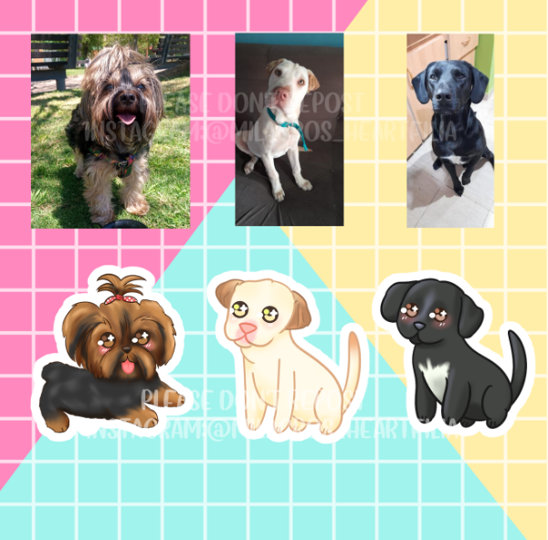 Producto - Sticker Personalizado de tu mascota