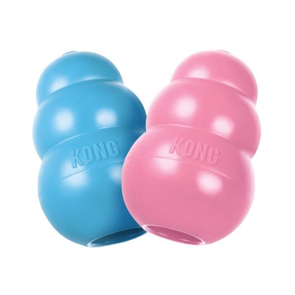 Producto - Kong puppy small 9kg