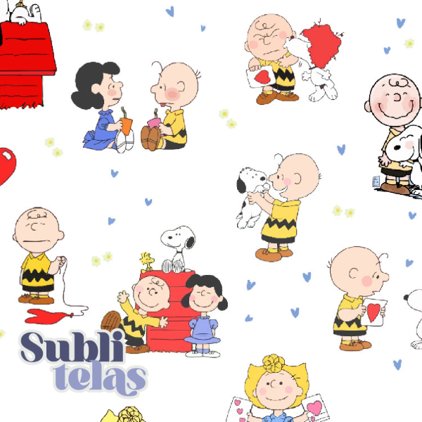 Producto - P322 Cordura 100x65cm