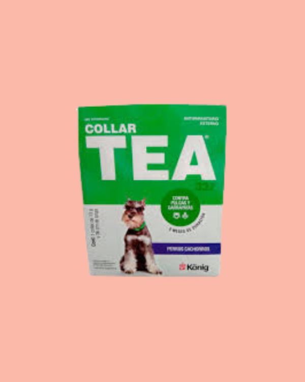Producto - TEA COLLAR ANTIPULGAS PERROS CACHORROS