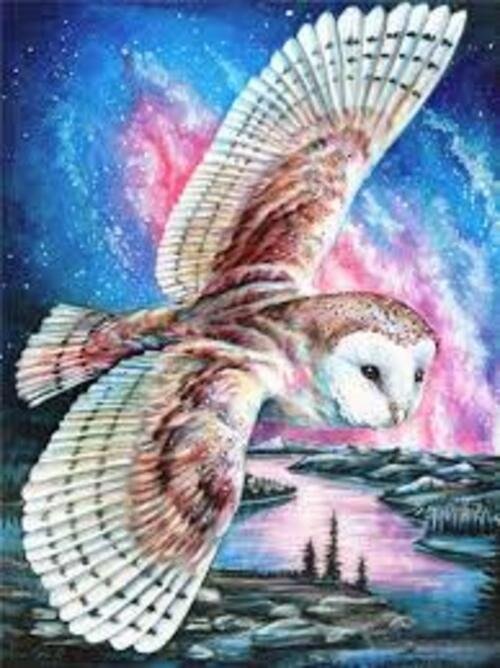 Producto - DIAMOND PAINTING 40X50 HI STONE LECHUZA EN VUELO