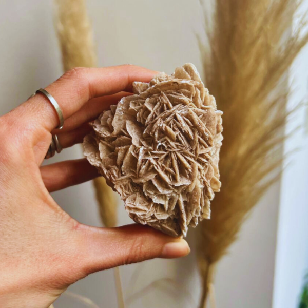 Producto - Rosa del desierto Mediana