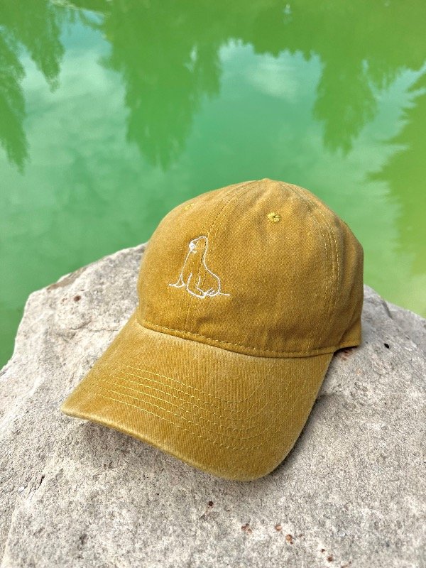 Producto - Lobo marino mostaza