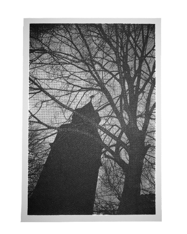 Producto - Print "Pompeya"