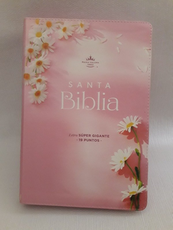 Producto - biblia LETRAS GIGANTES MUJER VIRTUOSA