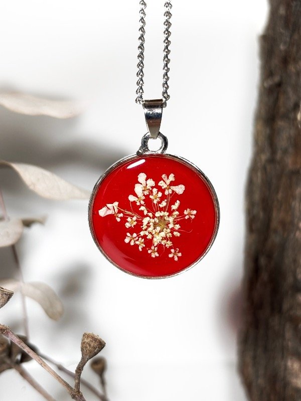 Producto - Ammi Majus rojo plateado