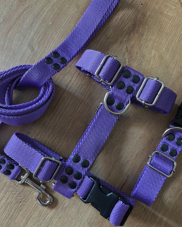 Producto - KIT LILAC