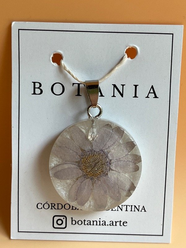 Producto - Margarita 3