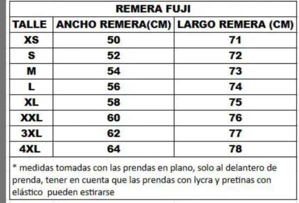 Producto - REMERA FUJI - 3