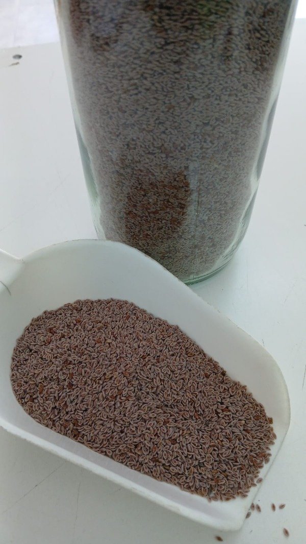 Producto - Semillas de psyllium x 500 grs