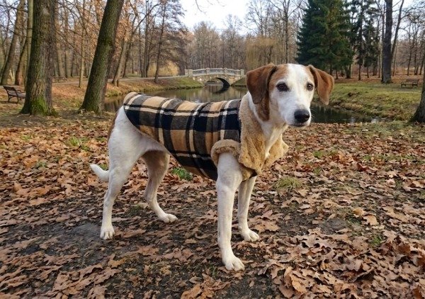 Producto - Chaleco Shelter