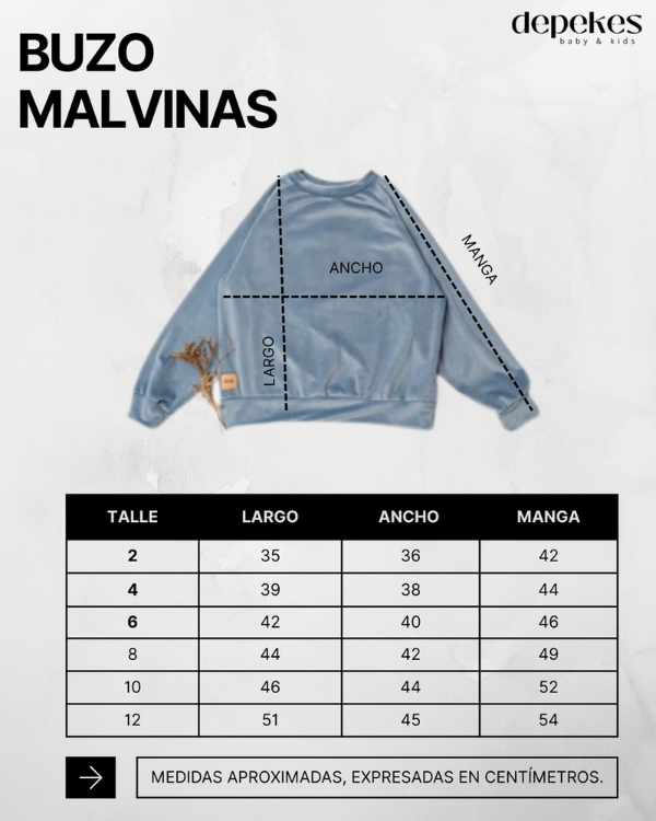 Producto - Buzo Malvinas Vison - 2