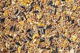 Producto - MEZCLA PAJAROS COMPUESTA X KG