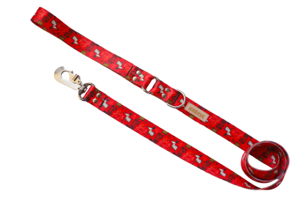 Producto - Correa Perritos