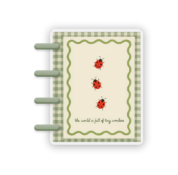 Producto - Tiny wonders mini