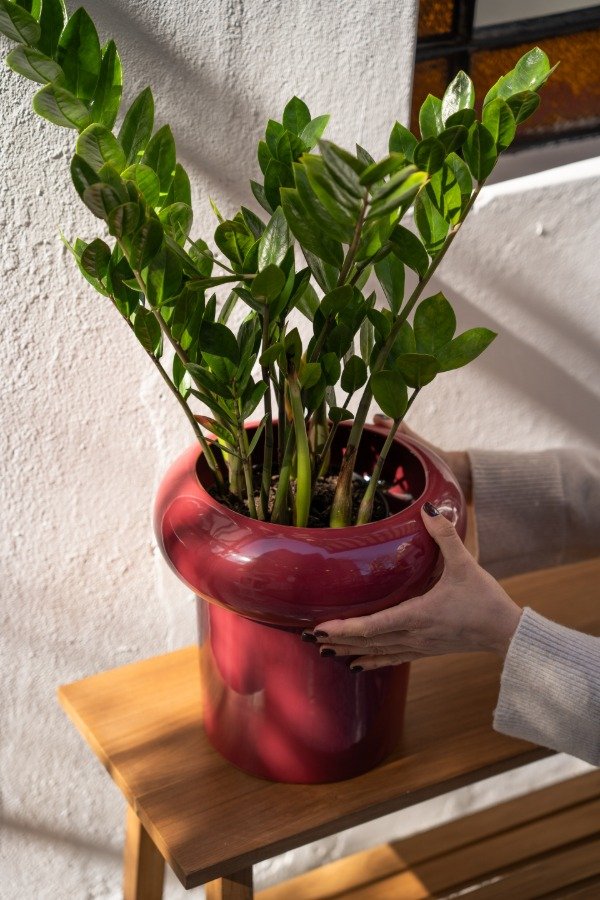 Producto - Maceta Hongo