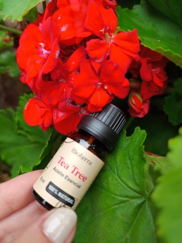 Producto - Aceite esencial Tea Tree - Bioterra-
