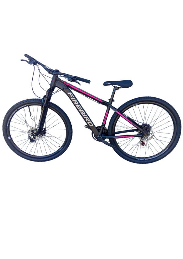 Producto - Bicicleta Firebird R29